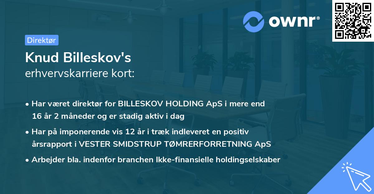 Knud Billeskov's erhvervskarriere kort