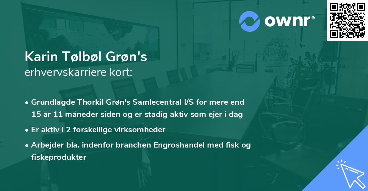 Karin Tølbøl Grøn's erhvervskarriere kort