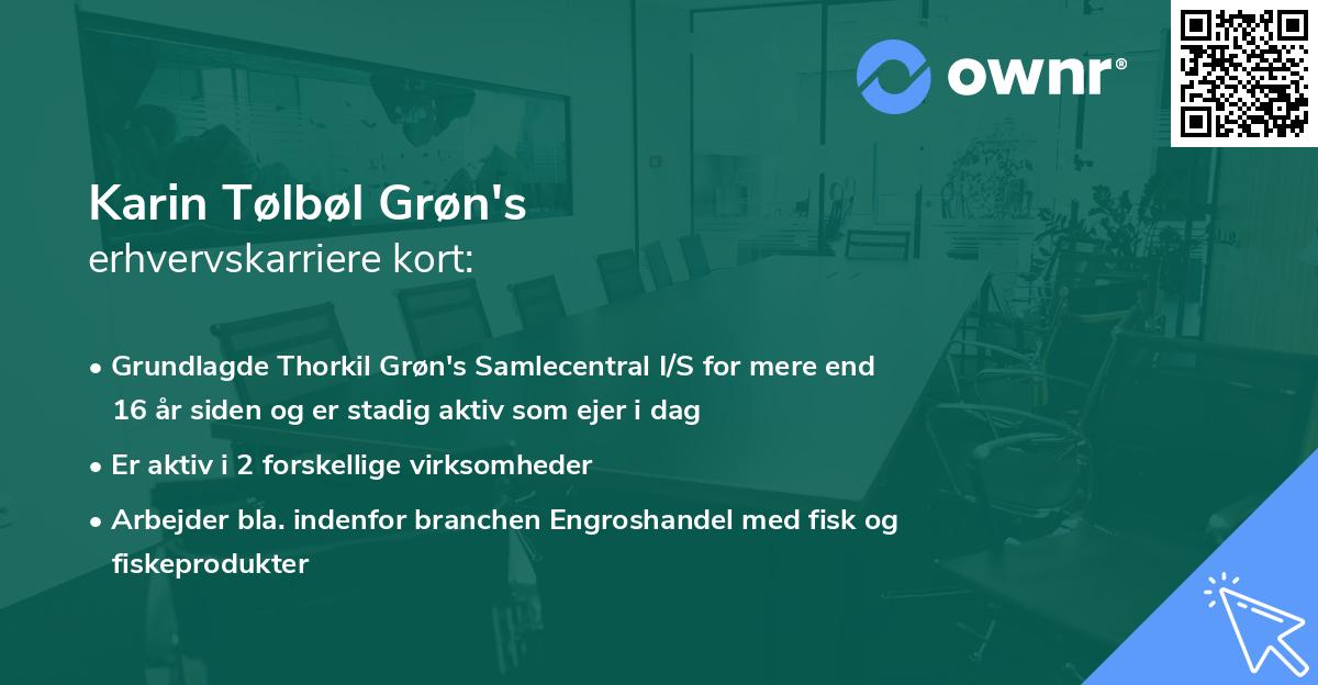 Karin Tølbøl Grøn's erhvervskarriere kort