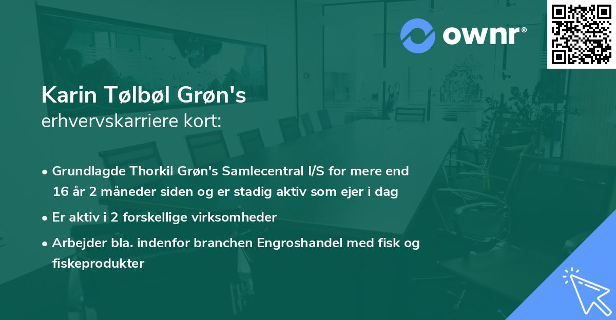 Karin Tølbøl Grøn's erhvervskarriere kort