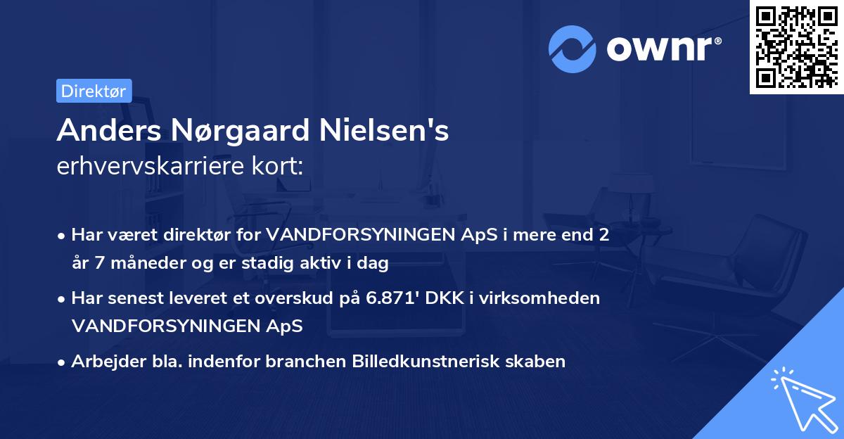 Anders Nørgaard Nielsen's erhvervskarriere kort