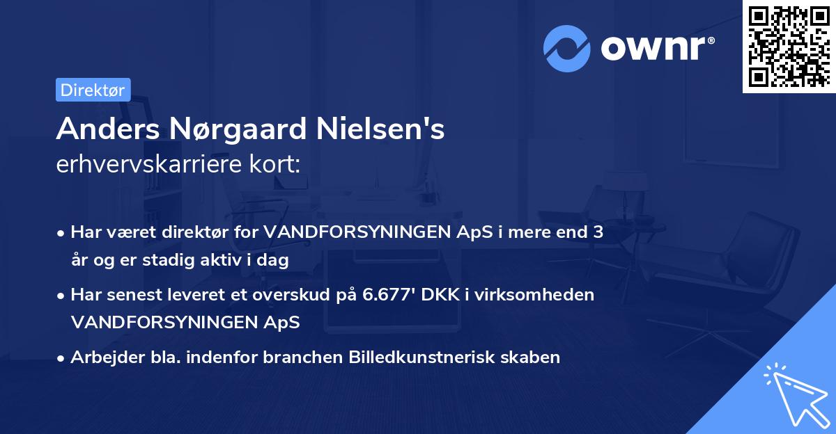 Anders Nørgaard Nielsen's erhvervskarriere kort
