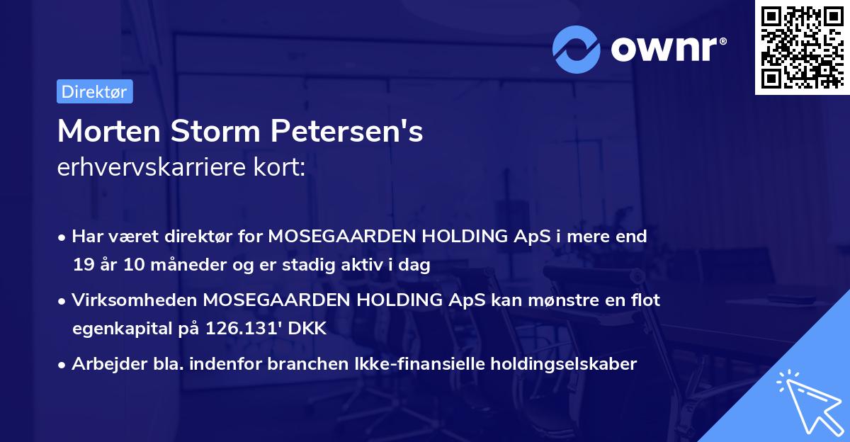 Morten Storm Petersen's erhvervskarriere kort