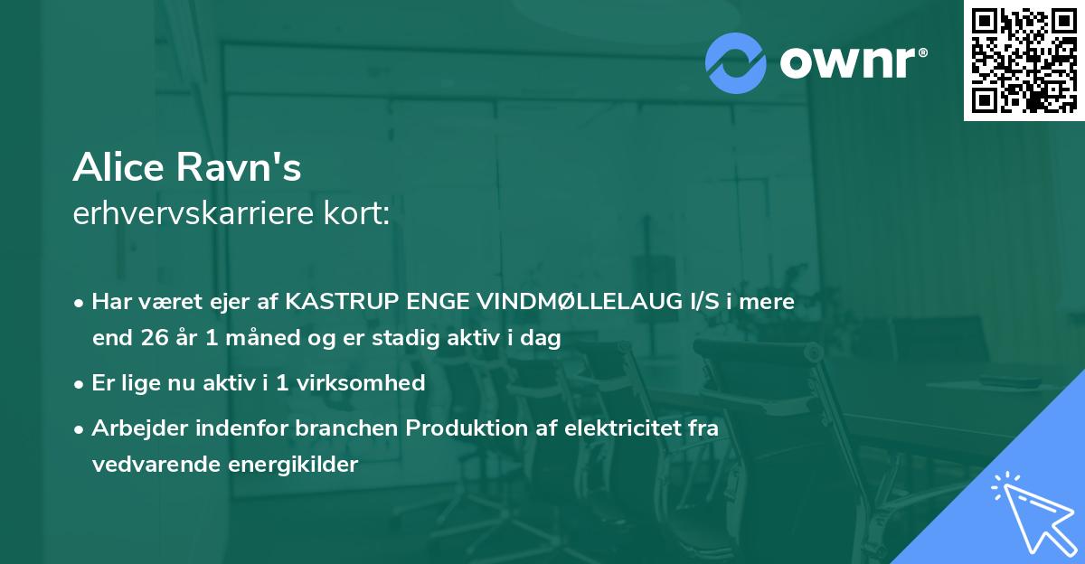 Alice Ravn's erhvervskarriere kort