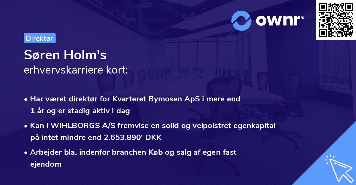 Søren Holm's erhvervskarriere kort