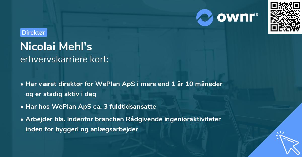 Nicolai Mehl's erhvervskarriere kort