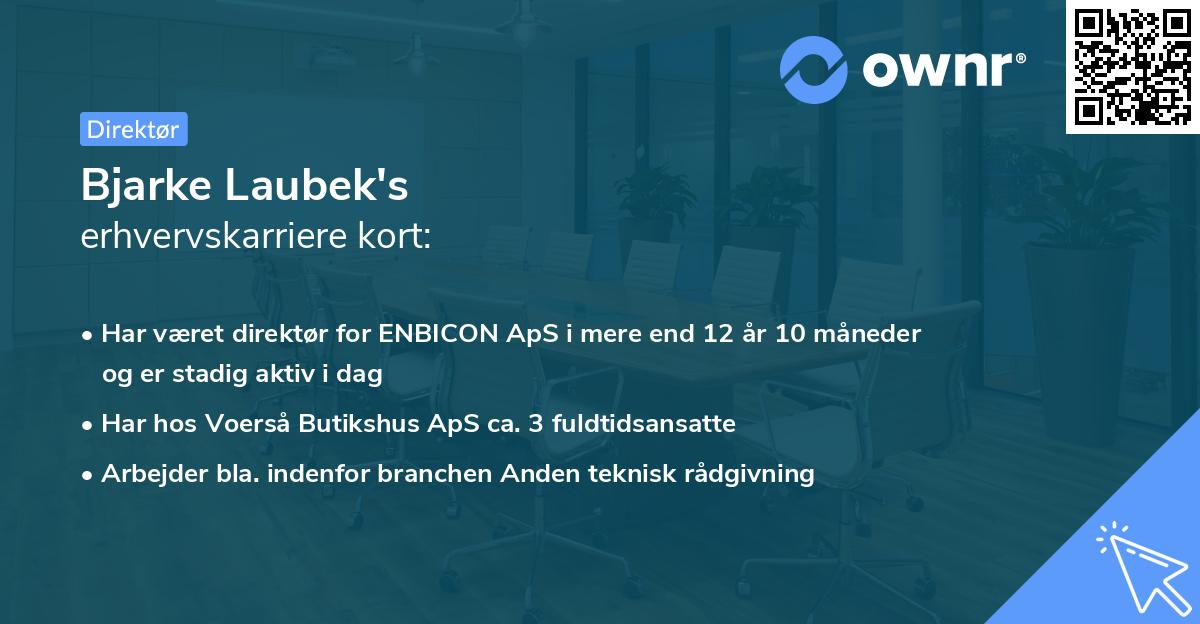 Bjarke Laubek's erhvervskarriere kort