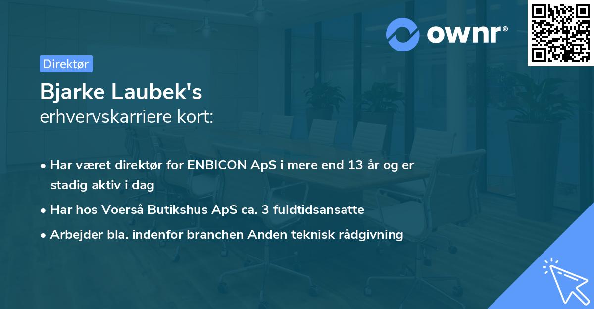 Bjarke Laubek's erhvervskarriere kort