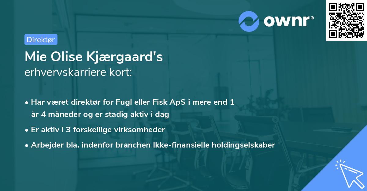 Mie Olise Kjærgaard's erhvervskarriere kort