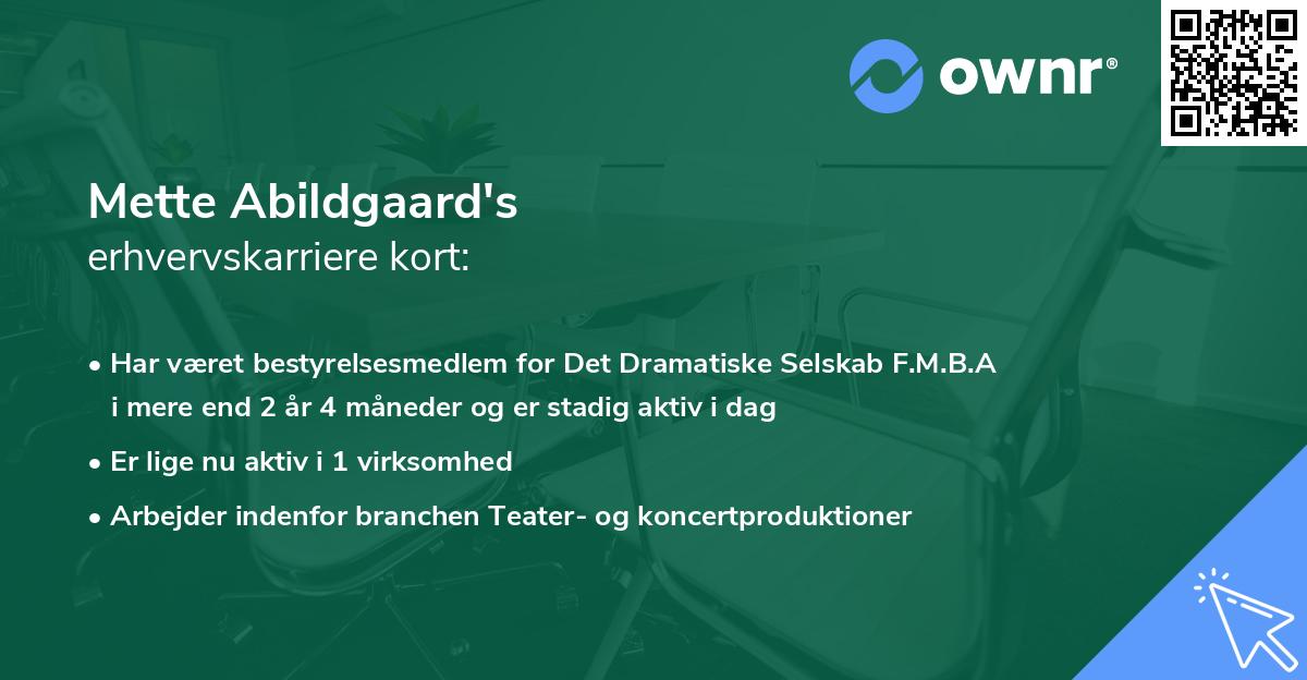 Mette Abildgaard's erhvervskarriere kort