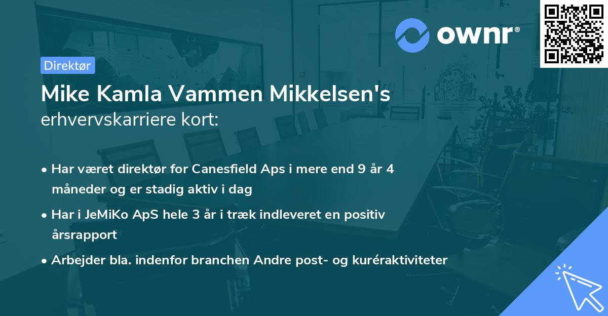 Mike Kamla Vammen Mikkelsen's erhvervskarriere kort