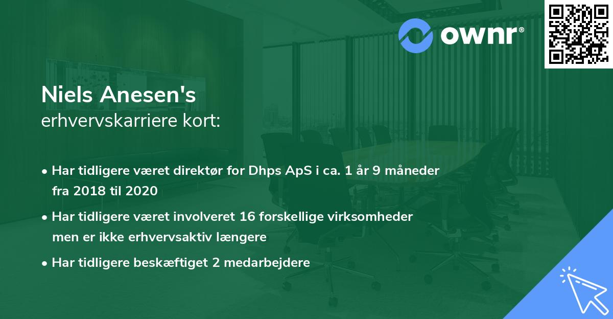 Niels Anesen's erhvervskarriere kort