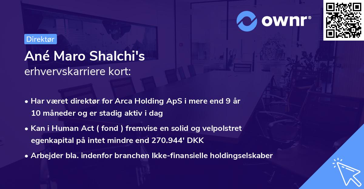 Ané Maro Shalchi's erhvervskarriere kort