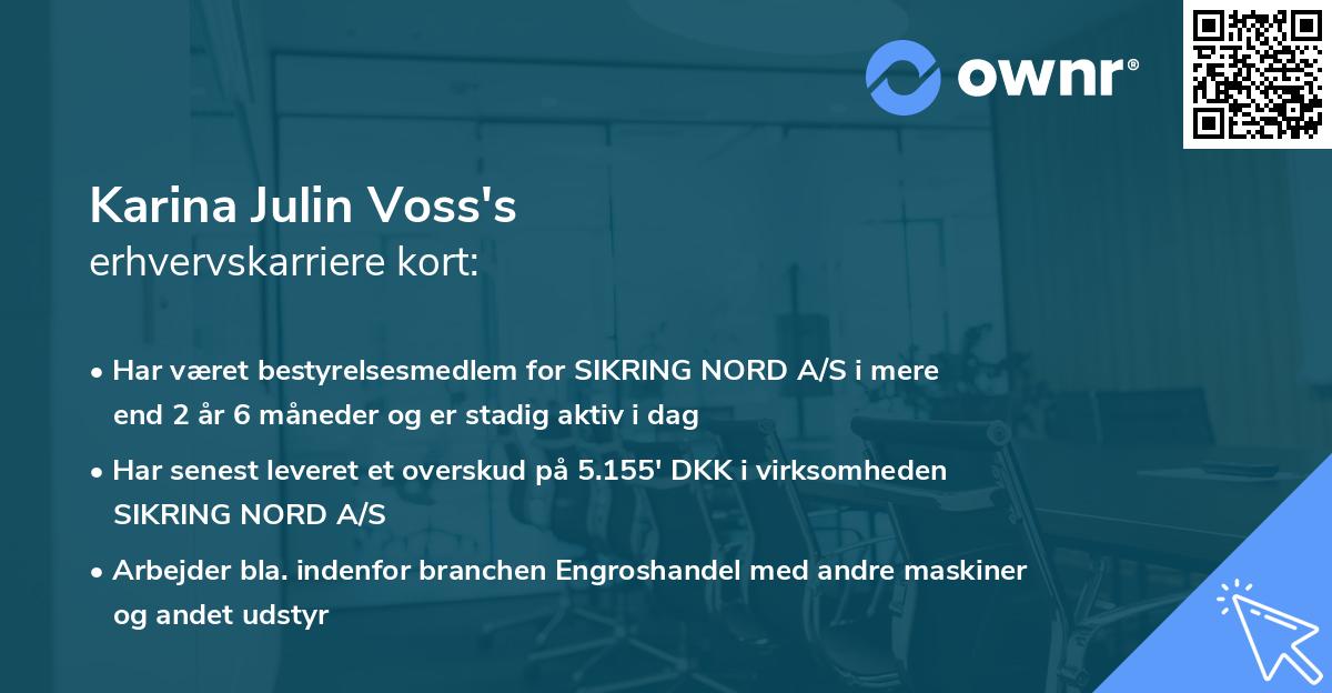 Karina Julin Voss's erhvervskarriere kort