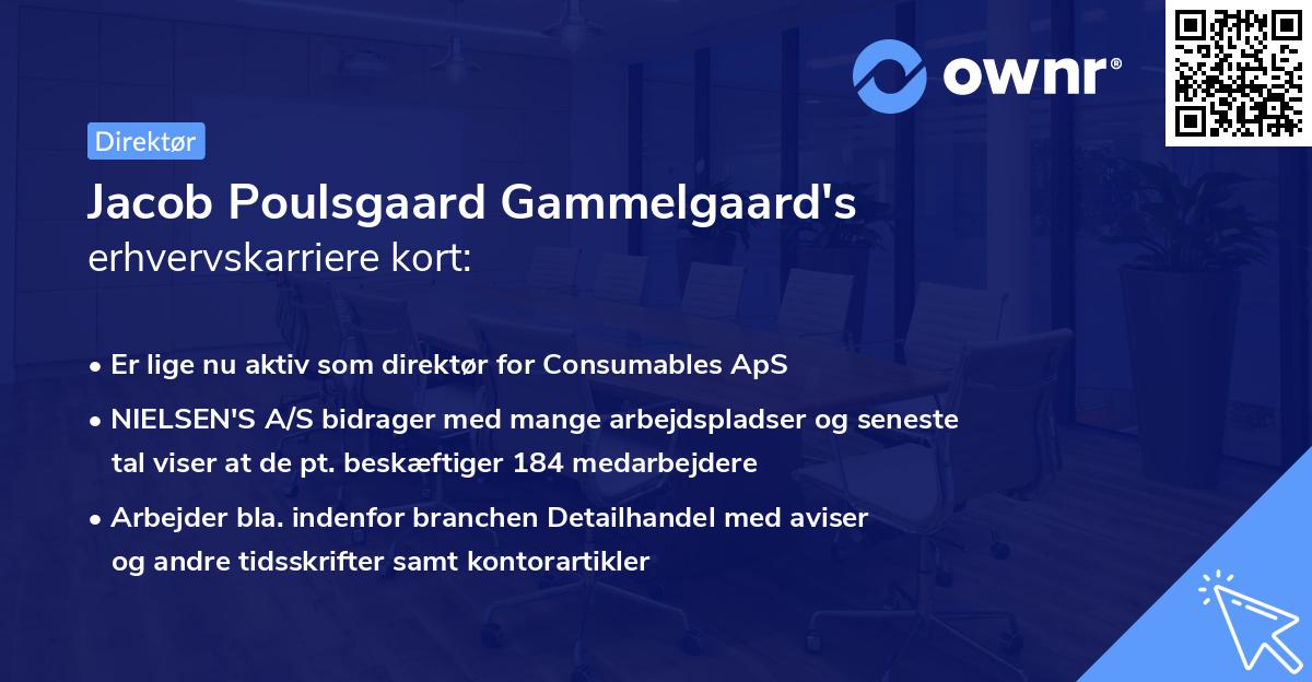 Jacob Poulsgaard Gammelgaard's erhvervskarriere kort