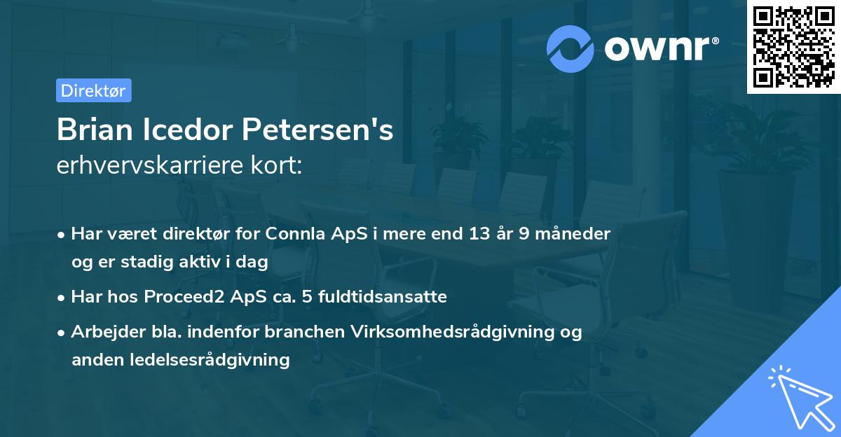 Brian Icedor Petersen's erhvervskarriere kort