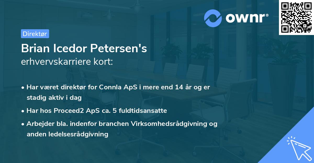Brian Icedor Petersen's erhvervskarriere kort