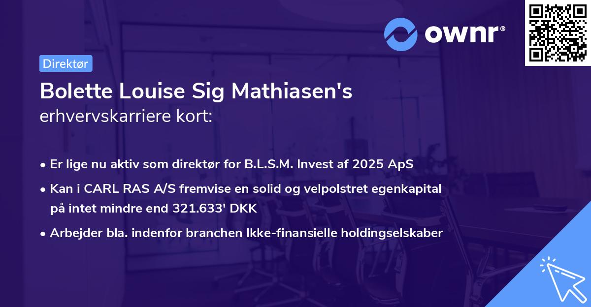 Bolette Louise Sig Mathiasen's erhvervskarriere kort