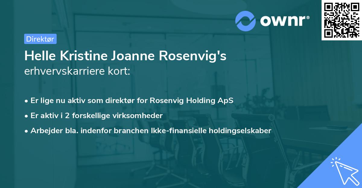 Helle Kristine Joanne Rosenvig's erhvervskarriere kort