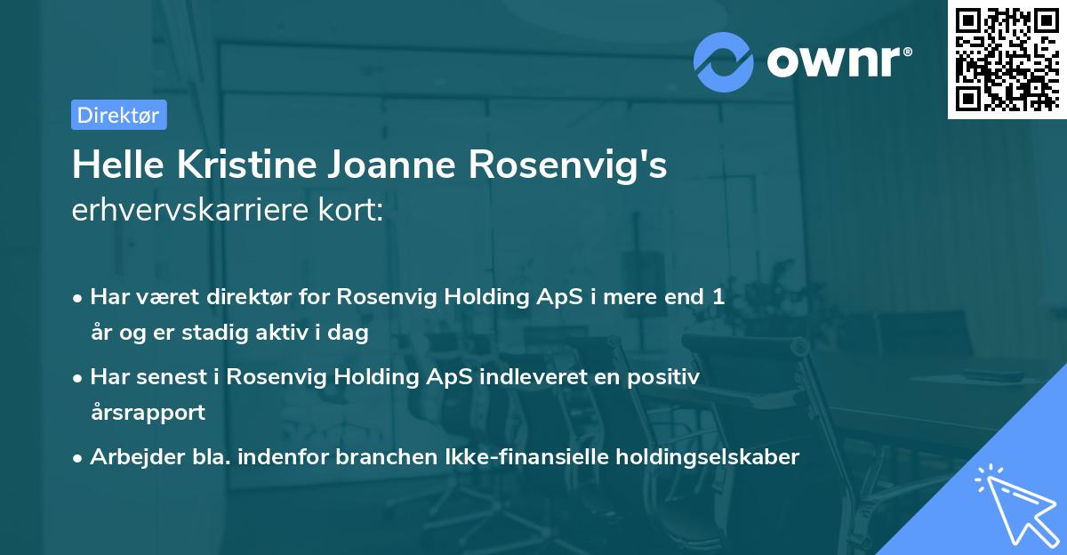 Helle Kristine Joanne Rosenvig's erhvervskarriere kort