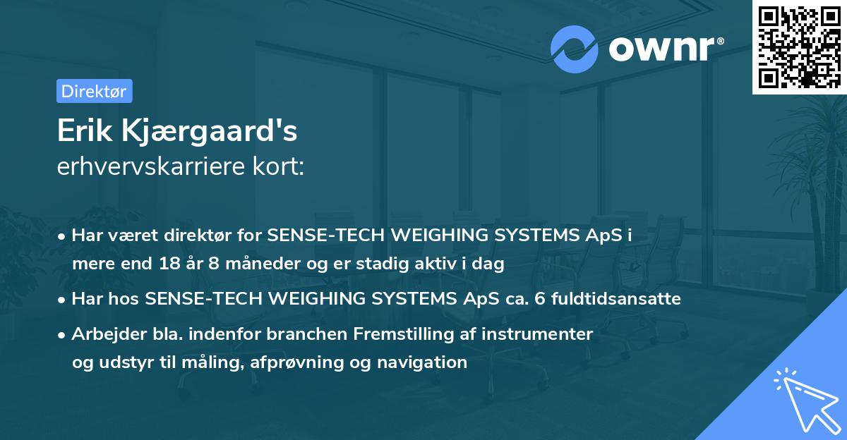 Erik Kjærgaard's erhvervskarriere kort