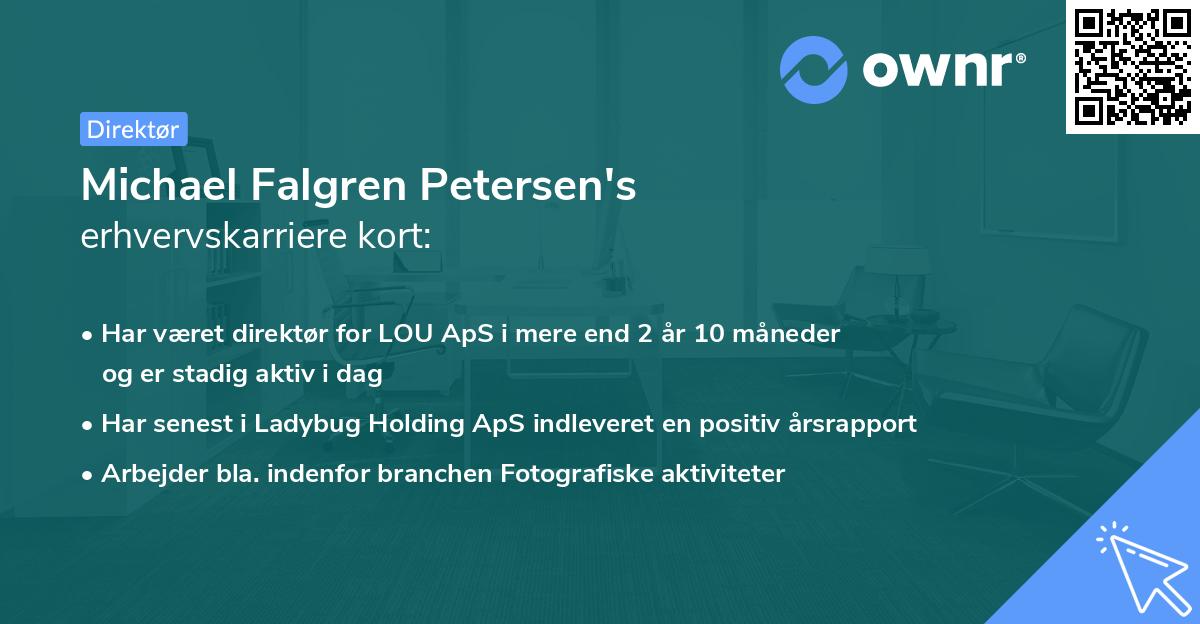 Michael Falgren Petersen's erhvervskarriere kort