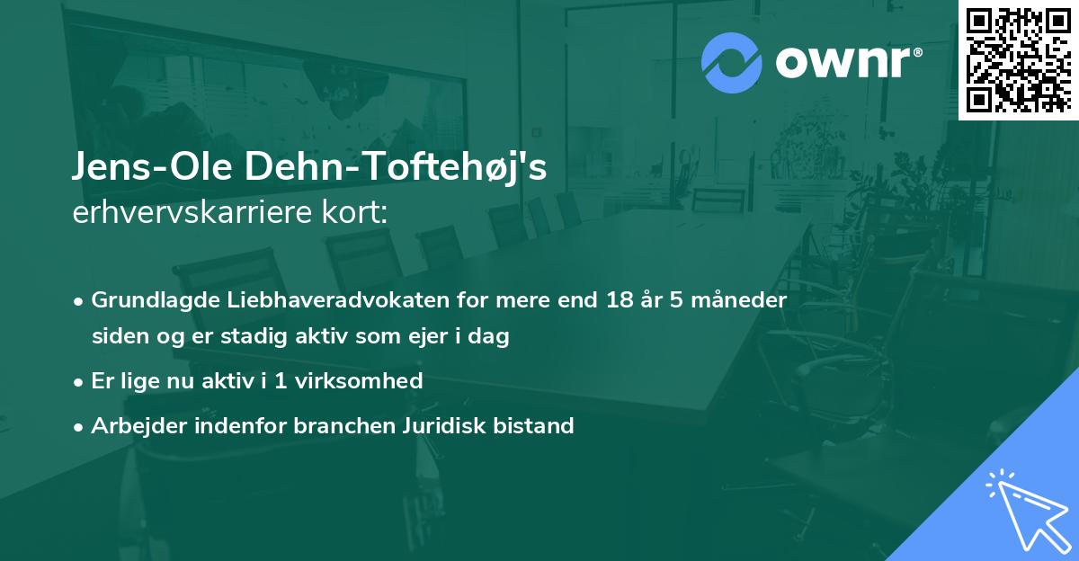 Jens-Ole Dehn-Toftehøj's erhvervskarriere kort