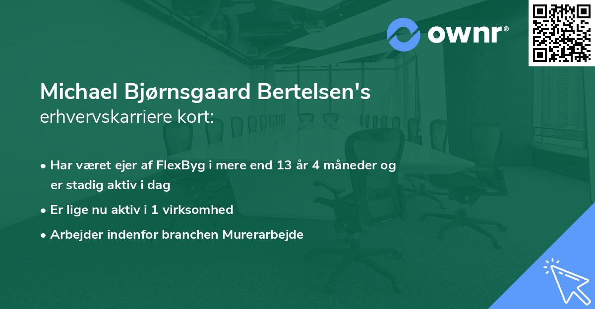 Michael Bjørnsgaard Bertelsen's erhvervskarriere kort
