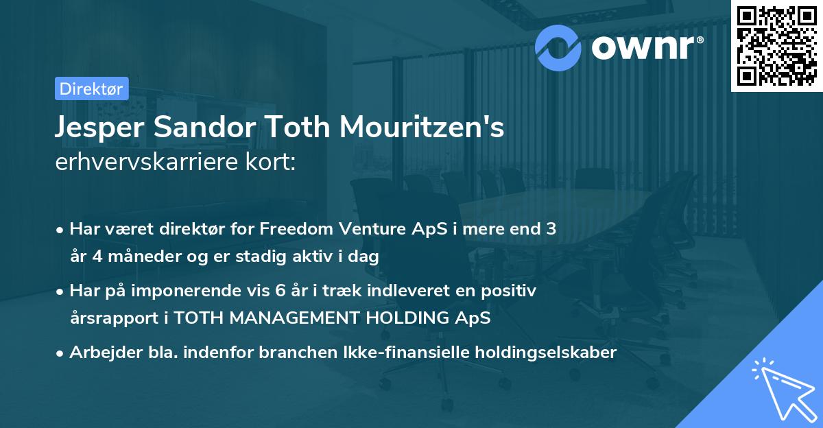Jesper Sandor Toth Mouritzen's erhvervskarriere kort