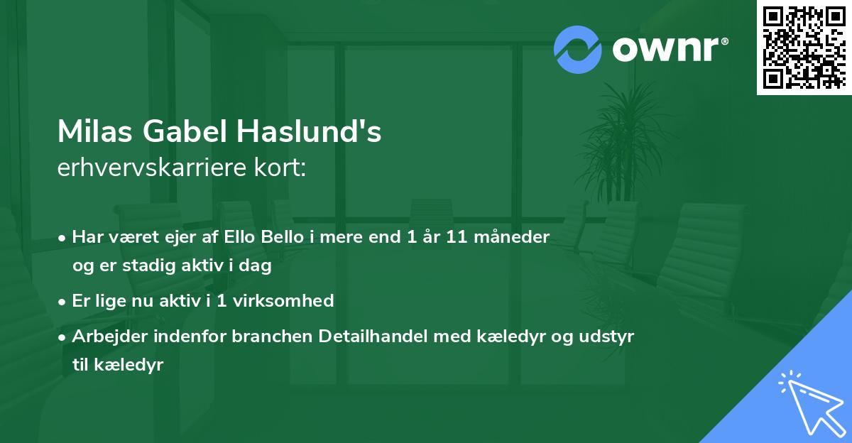 Milas Gabel Haslund's erhvervskarriere kort