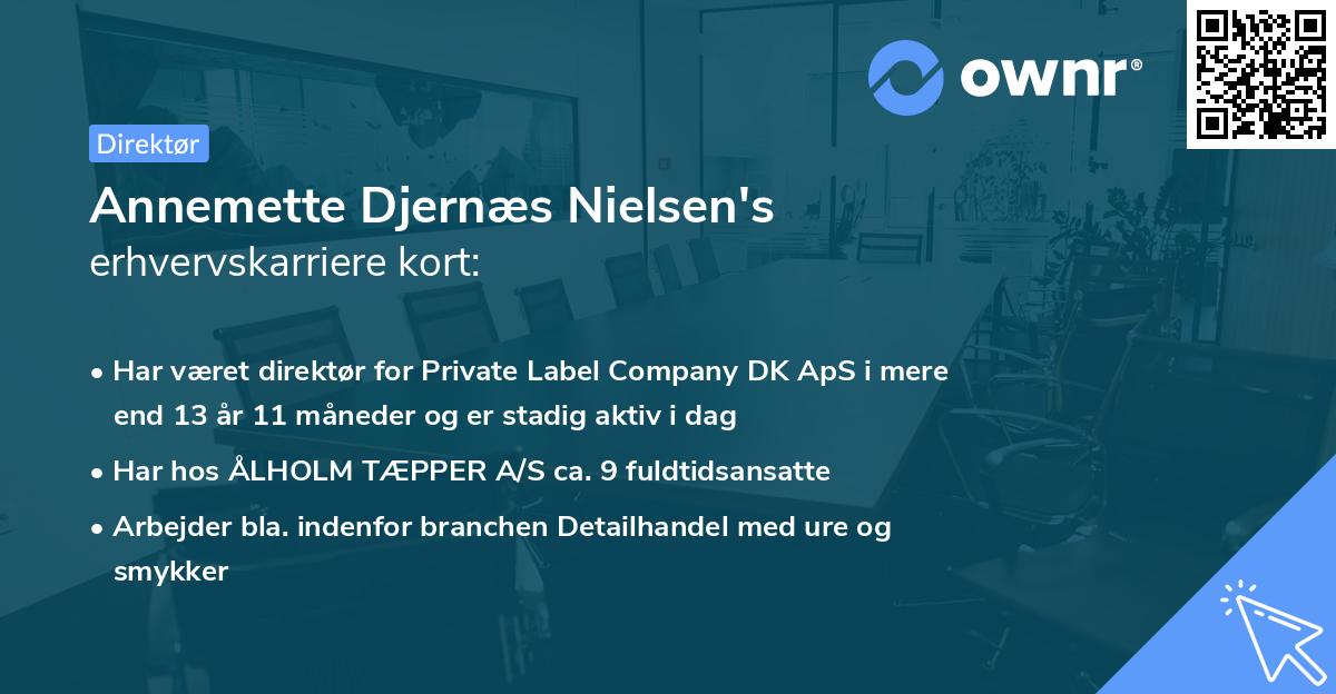 Annemette Djernæs Nielsen's erhvervskarriere kort