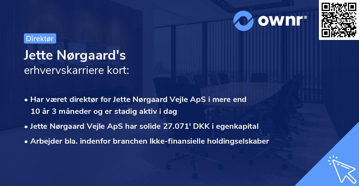 Jette Nørgaard's erhvervskarriere kort