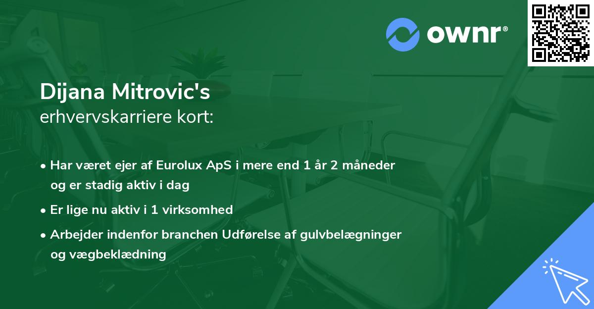 Dijana Mitrovic's erhvervskarriere kort