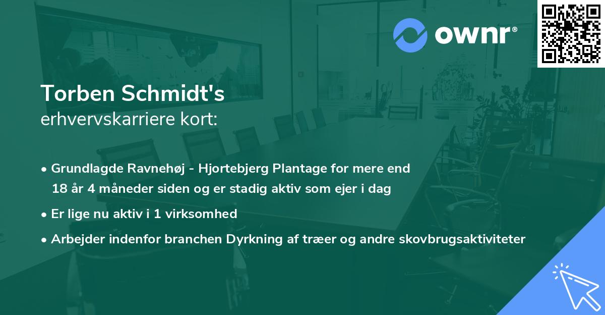 Torben Schmidt's erhvervskarriere kort