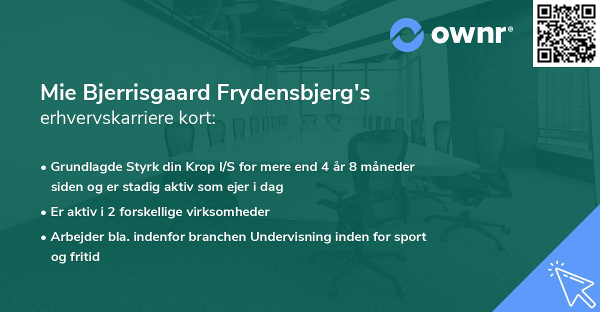 Mie Bjerrisgaard Frydensbjerg's erhvervskarriere kort