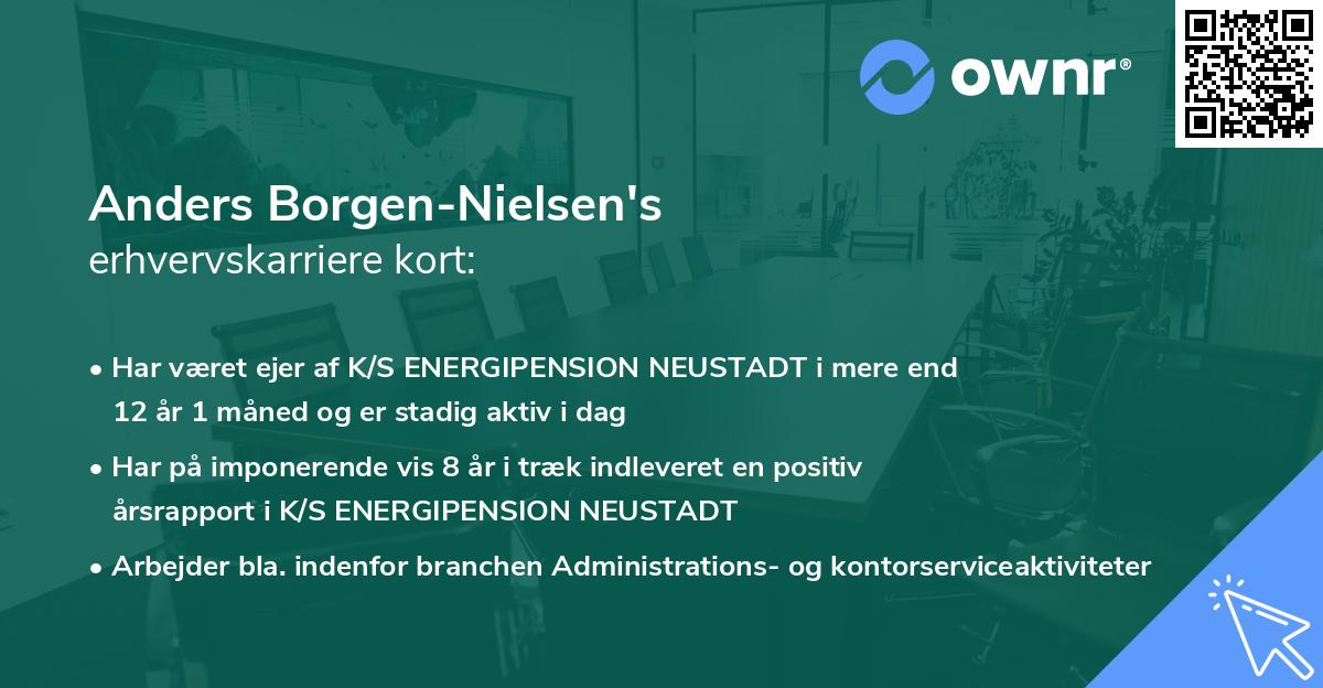 Anders Borgen-Nielsen's erhvervskarriere kort