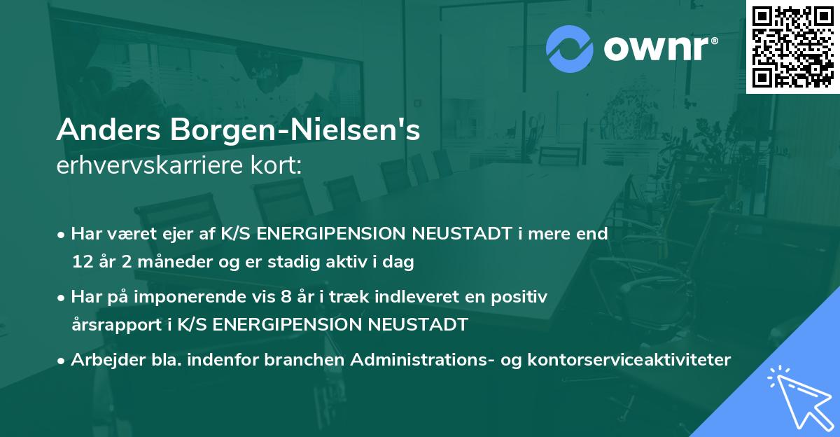 Anders Borgen-Nielsen's erhvervskarriere kort