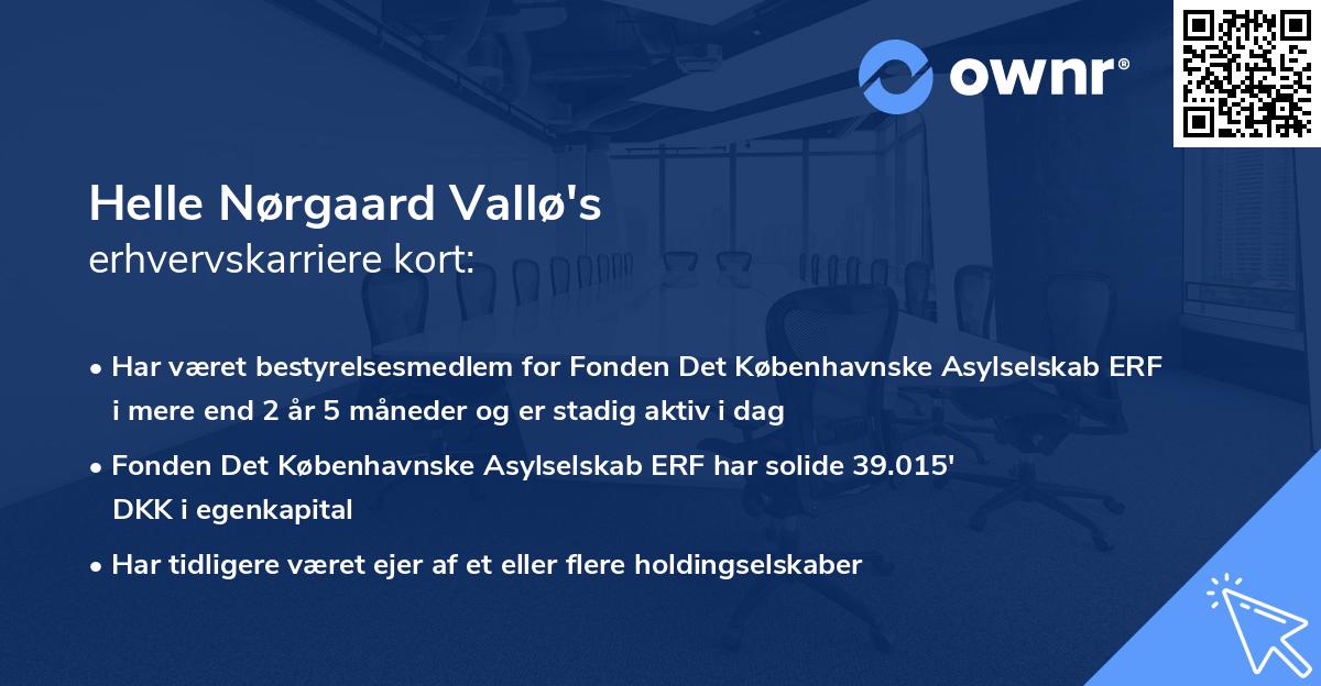 Helle Nørgaard Vallø's erhvervskarriere kort