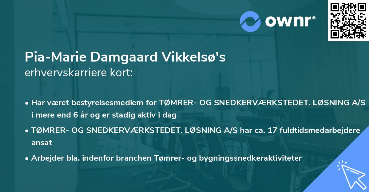 Pia-Marie Damgaard Vikkelsø's erhvervskarriere kort