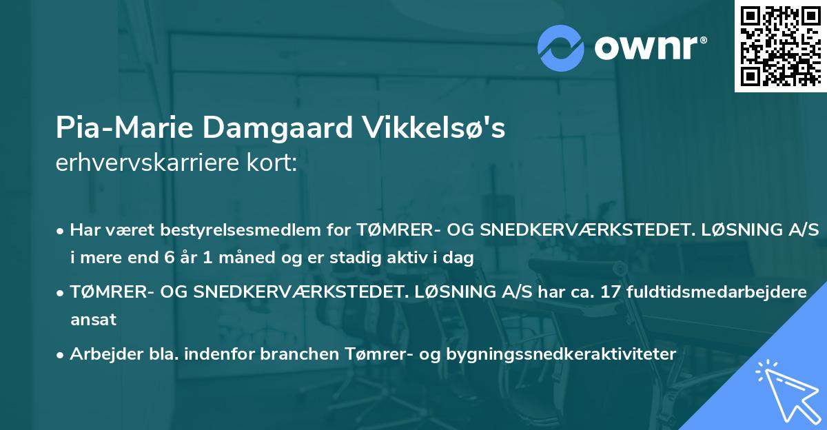 Pia-Marie Damgaard Vikkelsø's erhvervskarriere kort