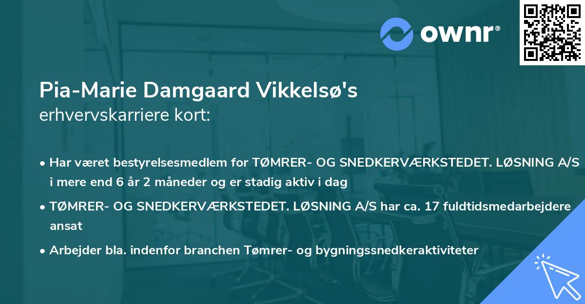 Pia-Marie Damgaard Vikkelsø's erhvervskarriere kort
