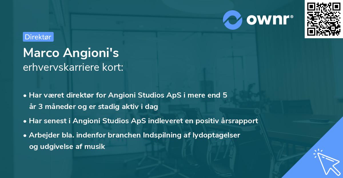 Marco Angioni's erhvervskarriere kort