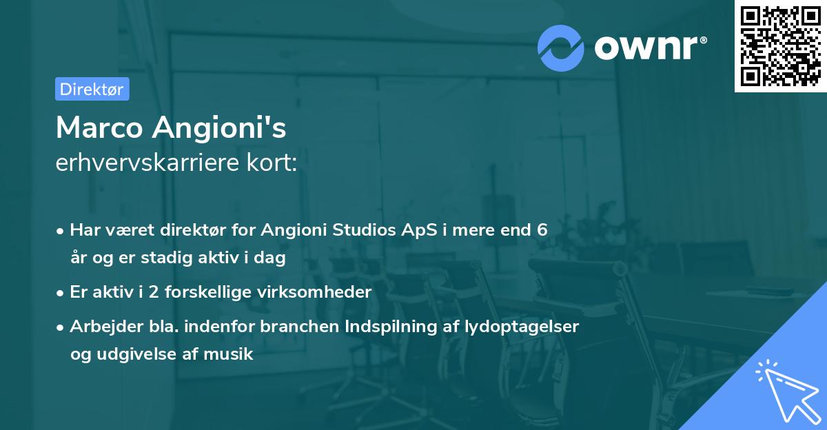Marco Angioni's erhvervskarriere kort