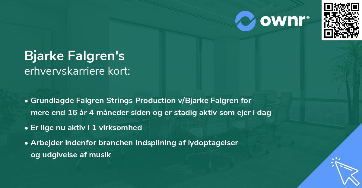 Bjarke Falgren's erhvervskarriere kort