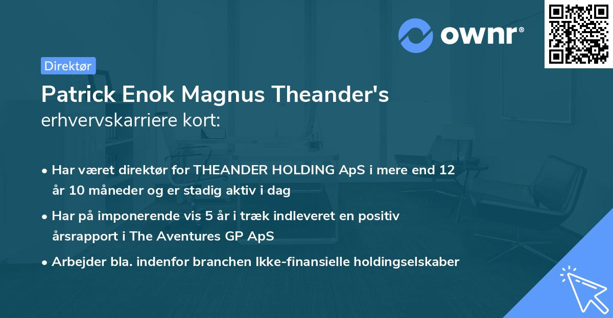 Patrick Enok Magnus Theander's erhvervskarriere kort