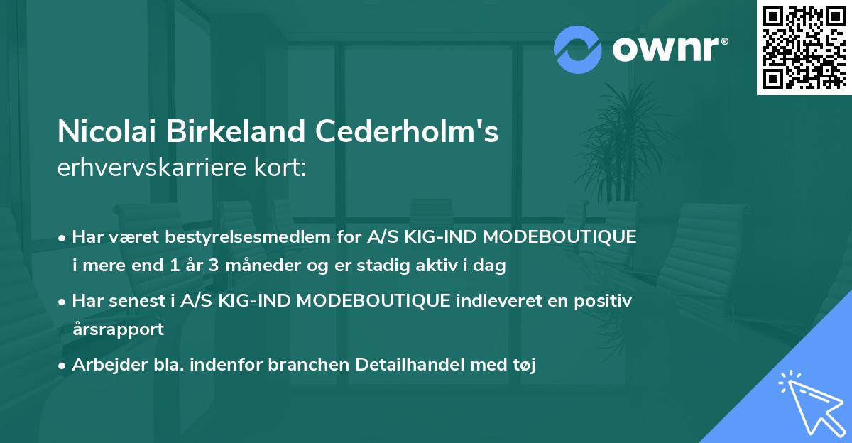 Nicolai Birkeland Cederholm's erhvervskarriere kort
