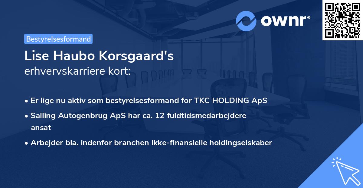 Lise Haubo Korsgaard's erhvervskarriere kort