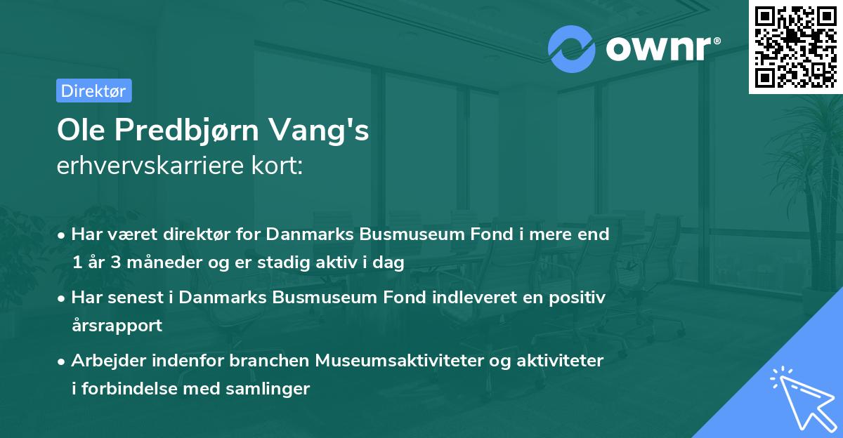 Ole Predbjørn Vang's erhvervskarriere kort