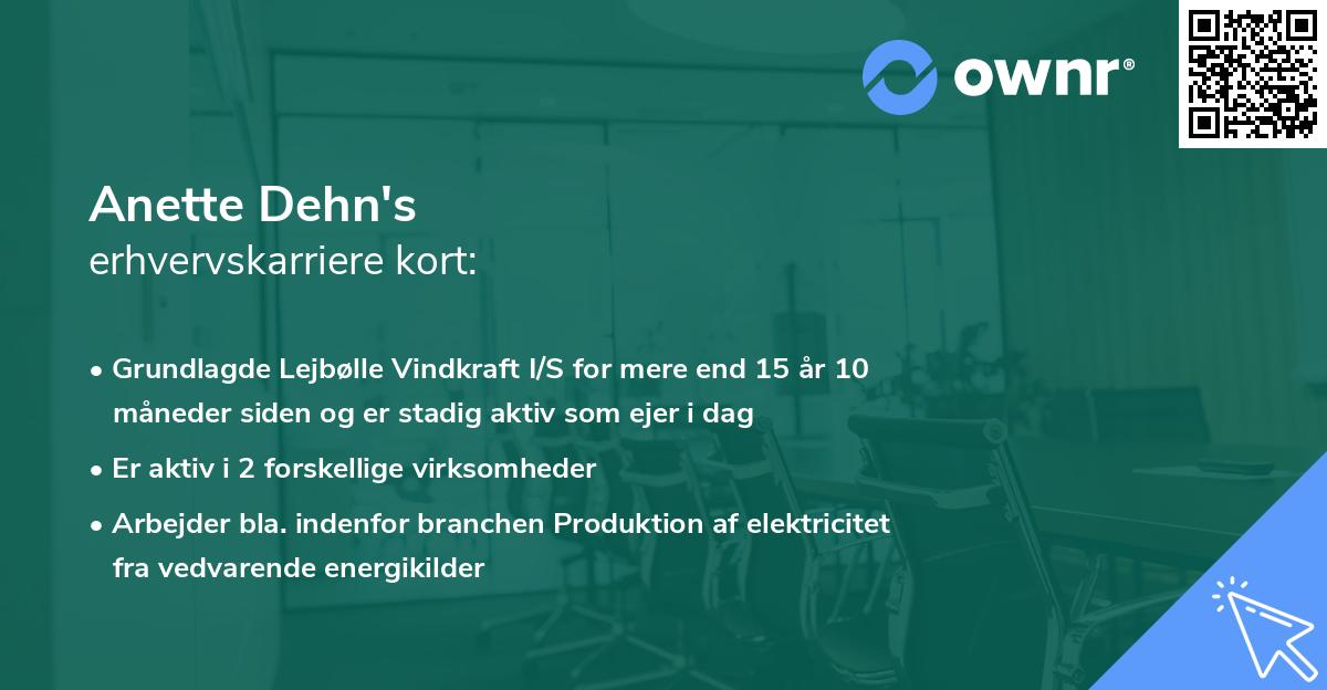 Anette Dehn's erhvervskarriere kort