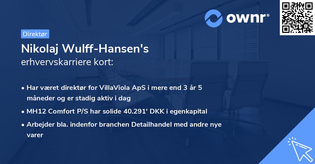 Nikolaj Wulff-Hansen's erhvervskarriere kort